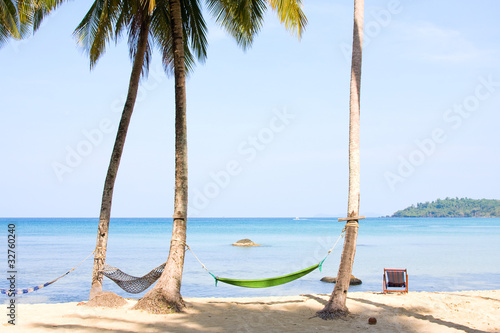 Sea, beach, jungle and hammock © OlegD