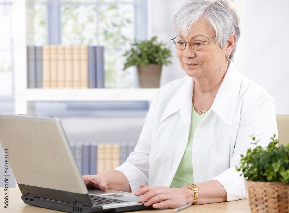 Old lady using laptop