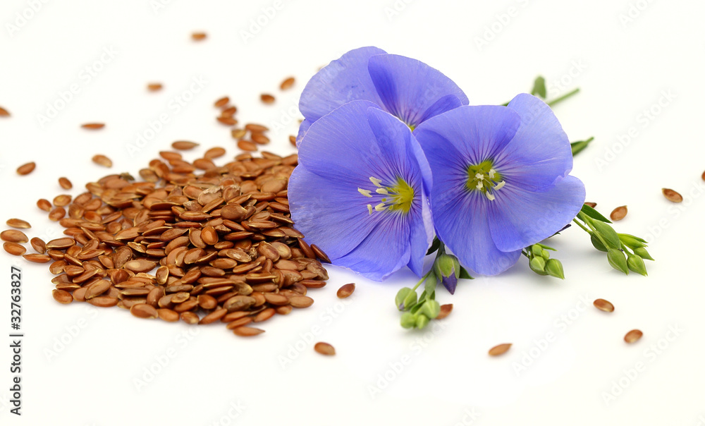 Seeds and flowers of flax - obrazy, fototapety, plakaty 