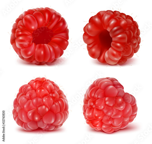 Vector illustration of ripe raspberry.