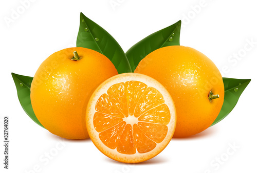 Vector fresh ripe oranges with leaves.