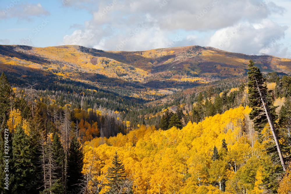 Fototapeta premium Autumn in mountains