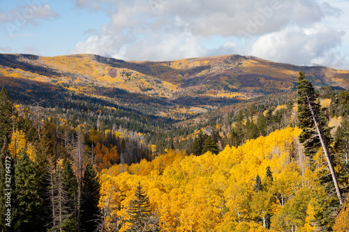 Autumn in mountains