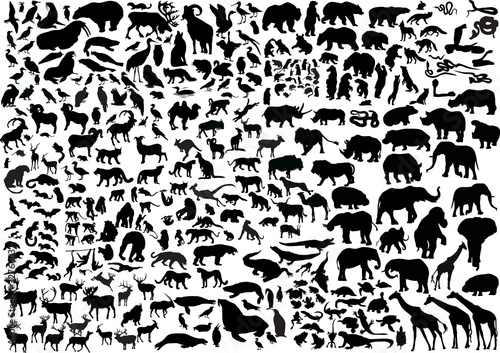 enormous animals silhouettes collection photo
