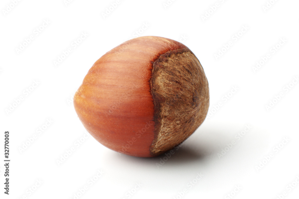 Photos Hazelnut