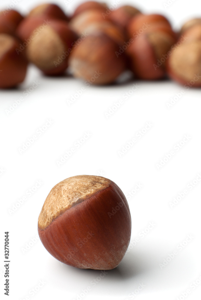 Hazelnut Hazelnut
