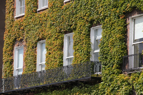 Vegetation on a facade in a building in the downtown of Dublin, Ireland