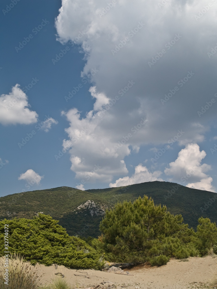 Obraz premium Maremma - Parco dell'Uccellina