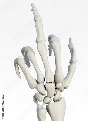 skeleton hand making offensive gesture