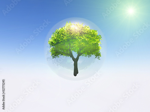 Tableau sur toile arbre en bulle