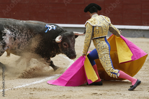 Toro y torero photo