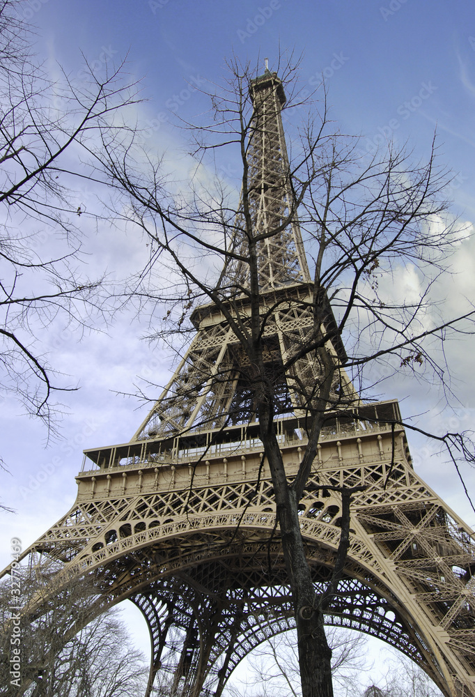 Eiffel Tower with Bare Tree