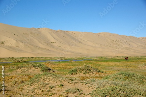 Desert de Gobi, Mongolie