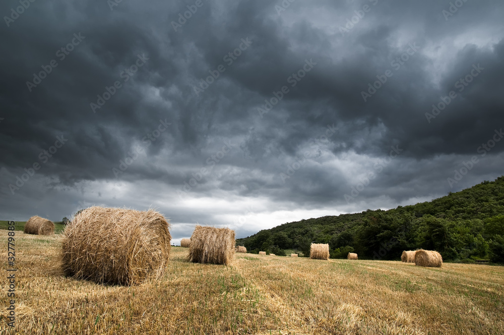 storm over cereal field