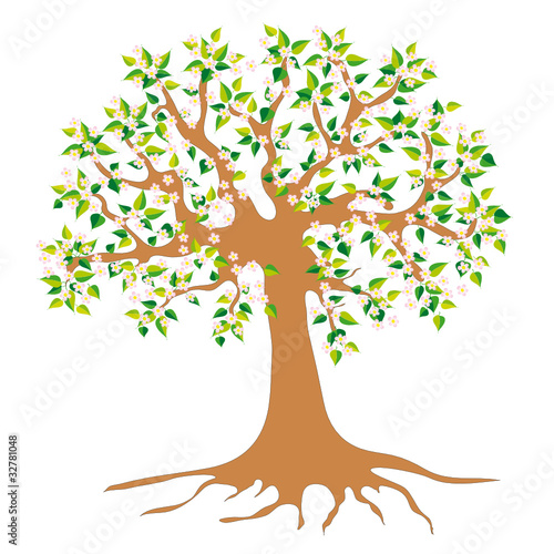 Baum in Frühling mit Blüten