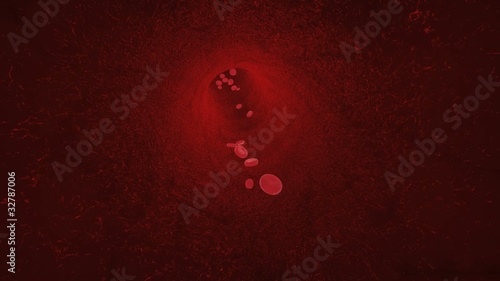 endlose Aderfahrt mit  Erythrozyten