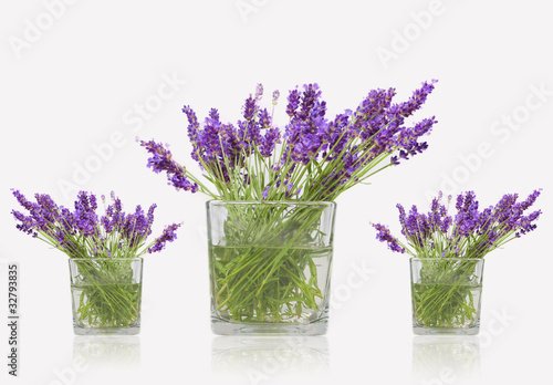 Fototapeta Naklejka Na Ścianę i Meble -  Tre vasi di lavanda