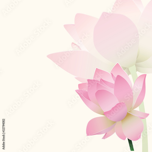 Lotus background