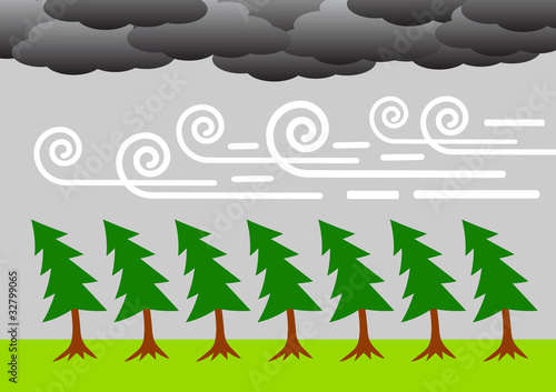 Windy weather