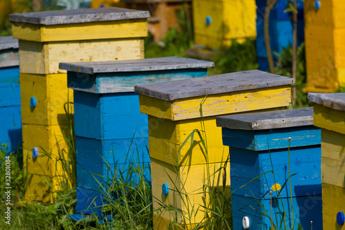 Beehives © Yordan Rusev