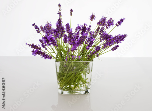 Fototapeta Naklejka Na Ścianę i Meble -  Lavanda controluce