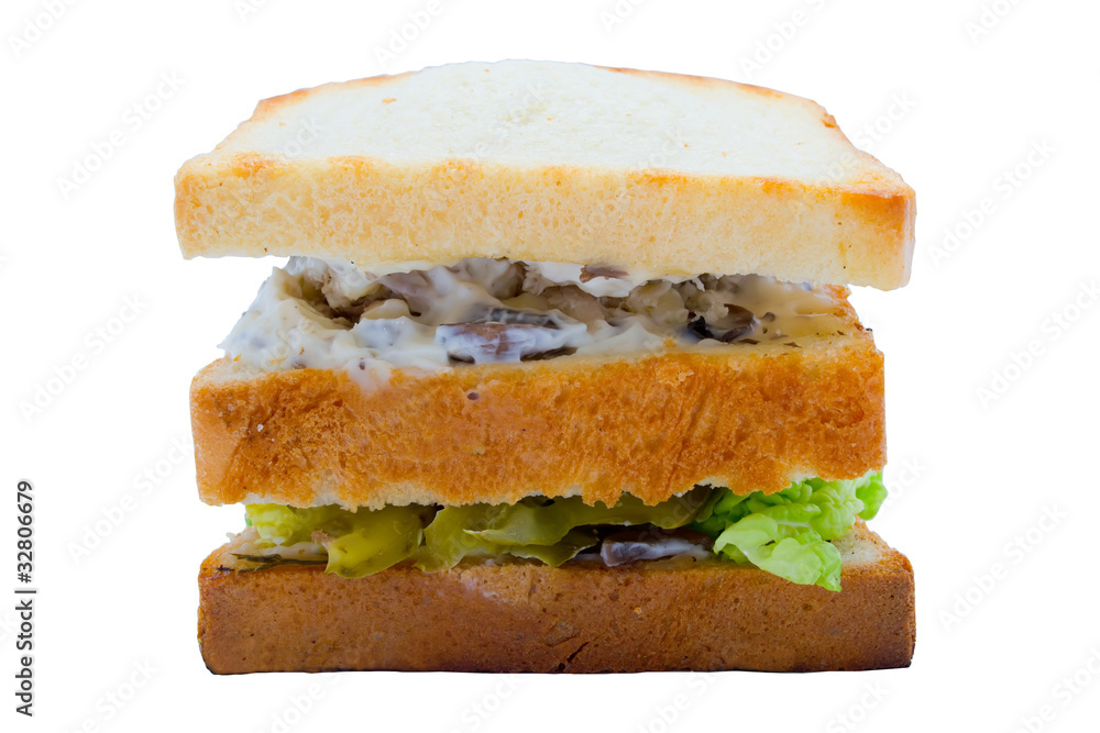 Tasty sandwish with chiken Tasty sandwish with chiken
