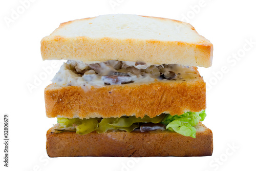 Tasty sandwish with chiken photo