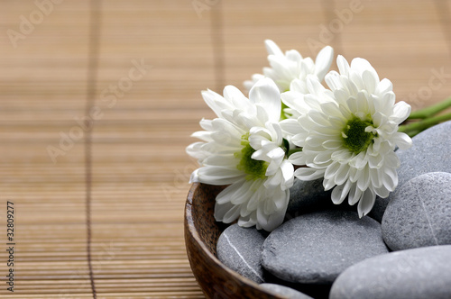 Wooden bowl of with fresh white chrysanthemums and stones