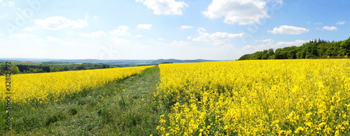 Felder im Frühling Panorama