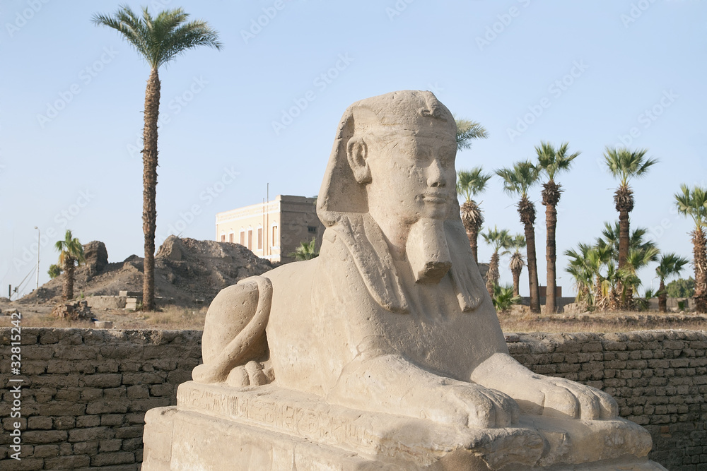 Fototapeta premium Sphinx