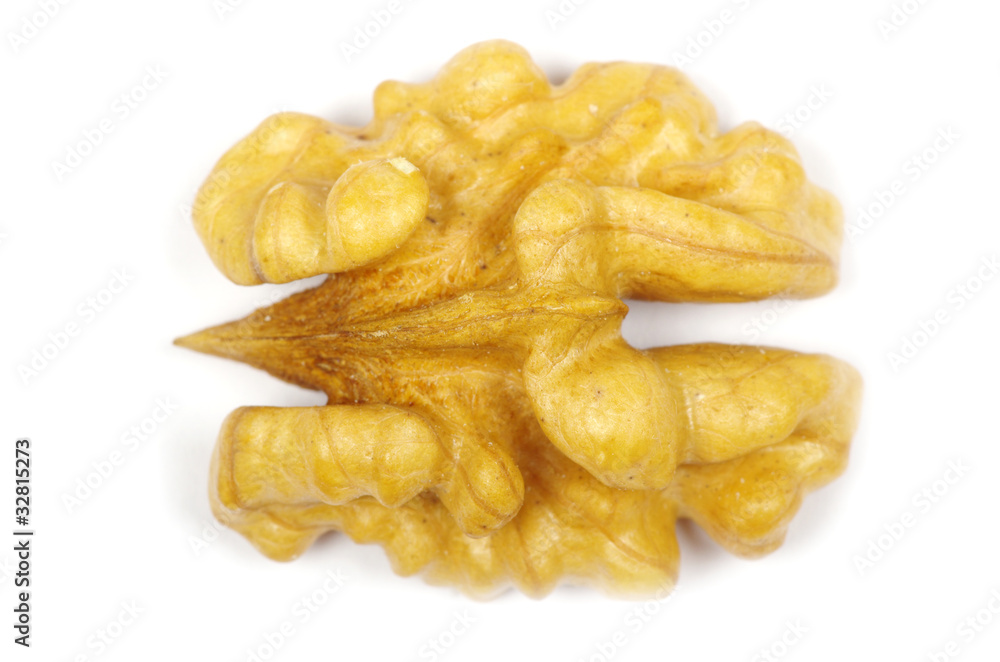 walnuts walnuts