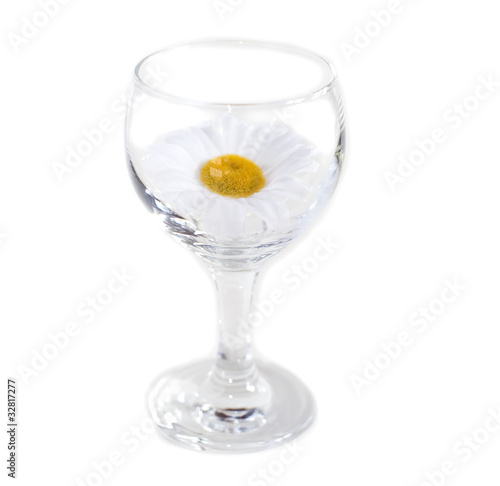 verre de vin marguerite