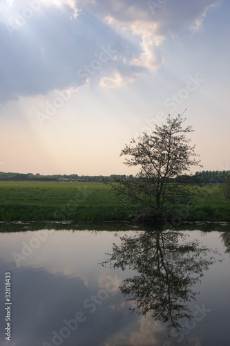 Tree reflected in river with sunlight between clouds