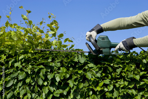 Hecke Schneiden