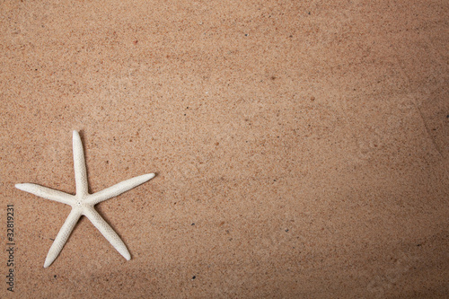 Sand background with a starfish