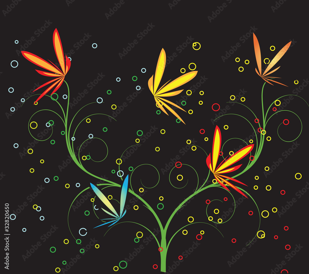 Different butterflies Different butterflies