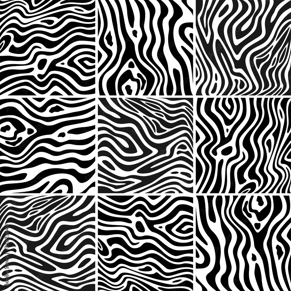Set zebra texture black and white Set zebra texture black and white