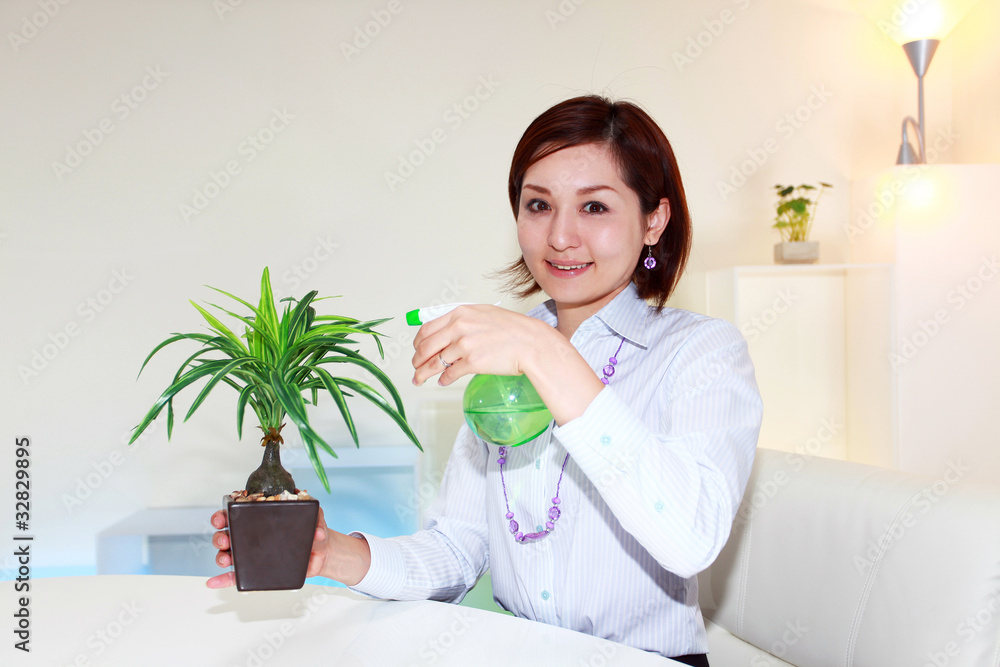 観葉植物の手入れをする笑顔の女性 観葉植物の手入れをする笑顔の女性