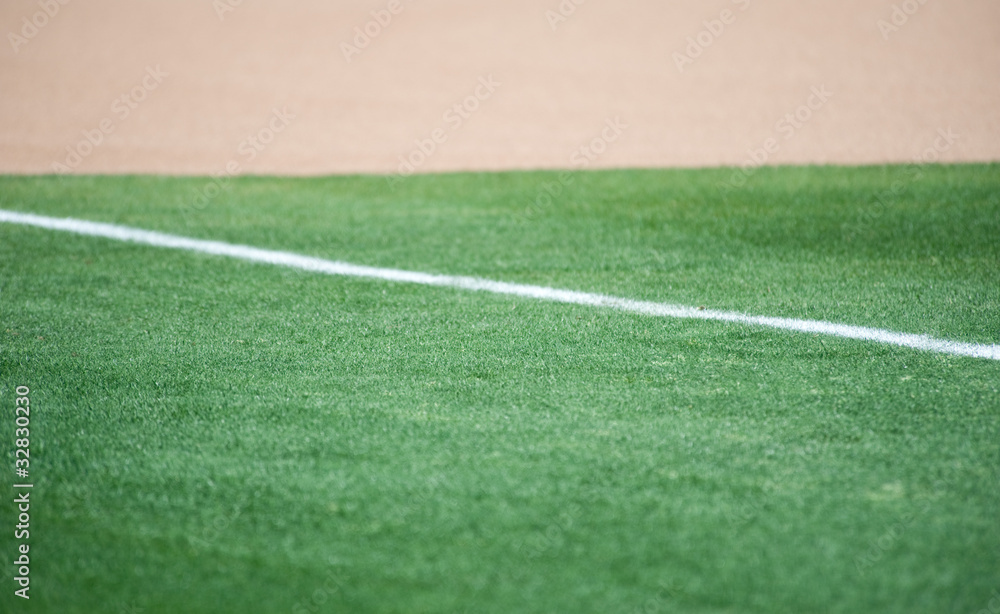 Obraz premium Baseball Field