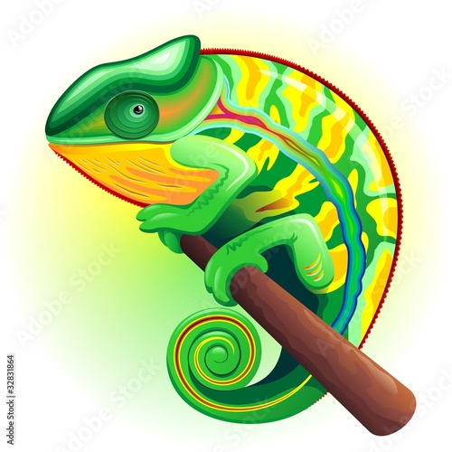Camaleonte-Chameleon-Caméléon-Cartoon