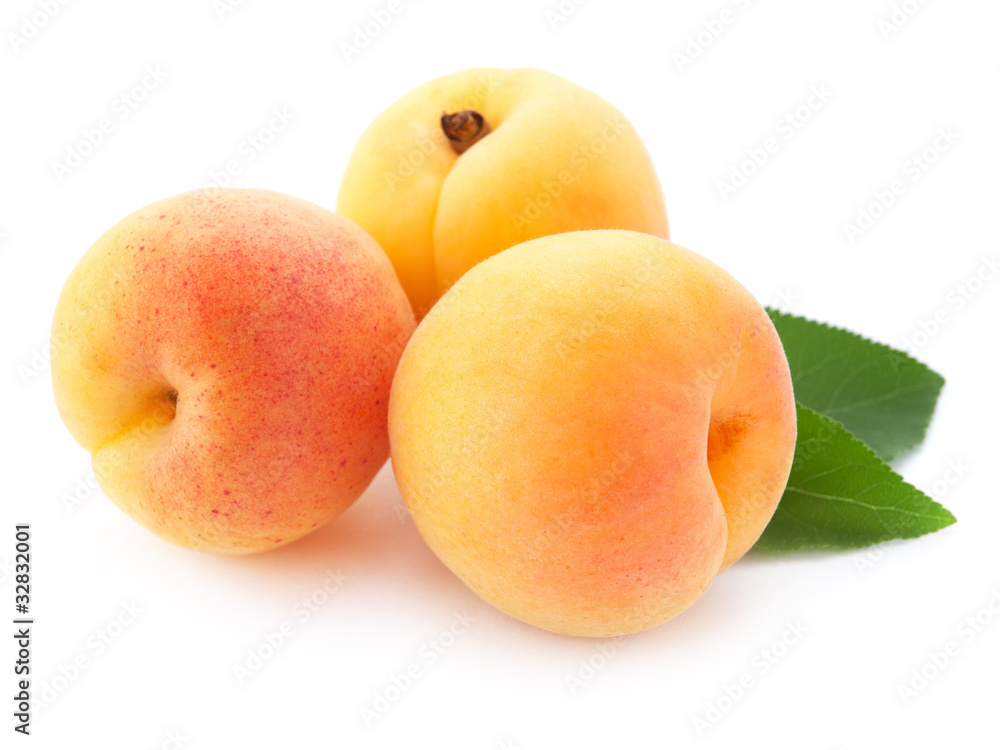 Apricot fruits with leaves isolated on white background Apricot fruits with leaves isolated on white background