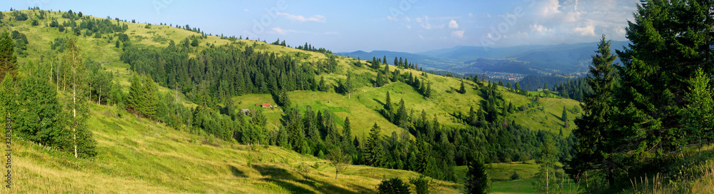 Panoramic view of summer Carpathian mountains, Ukraine