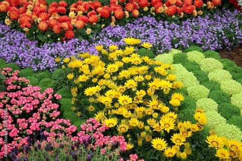 flowers in garden