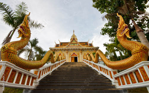 Double dragon walk to temple © nui7711