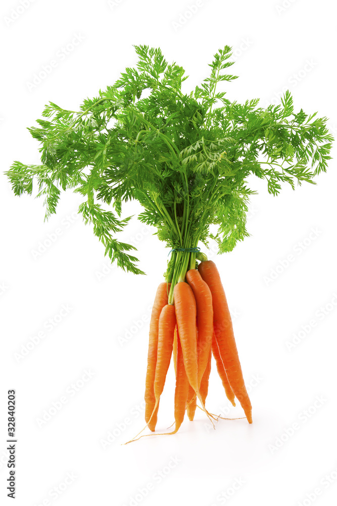fresh carrot fruits with green leaves - obrazy, fototapety, plakaty 