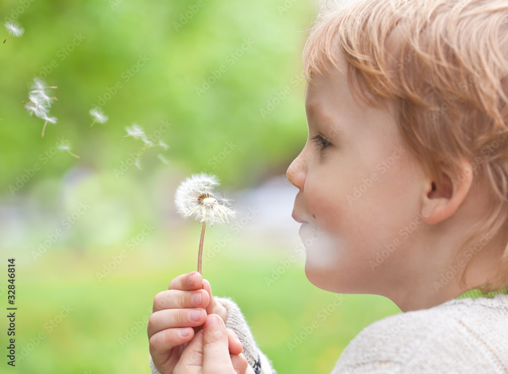 Young blond kid in the meadow blowing wishes on dandelion seed Young blond kid in the meadow blowing wishes on dandelion seed