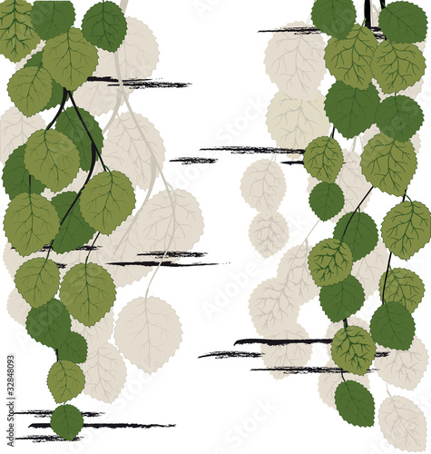 birch background