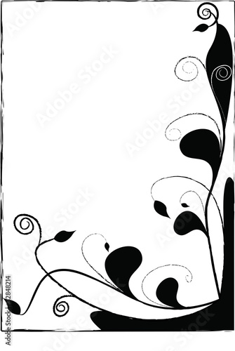 Fondo bianco e nero