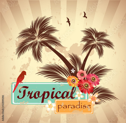 Tropical paradise.Vector illustration