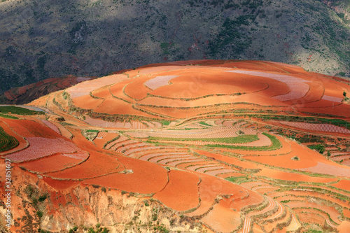 Colorful farmland in dongchuan of china photo